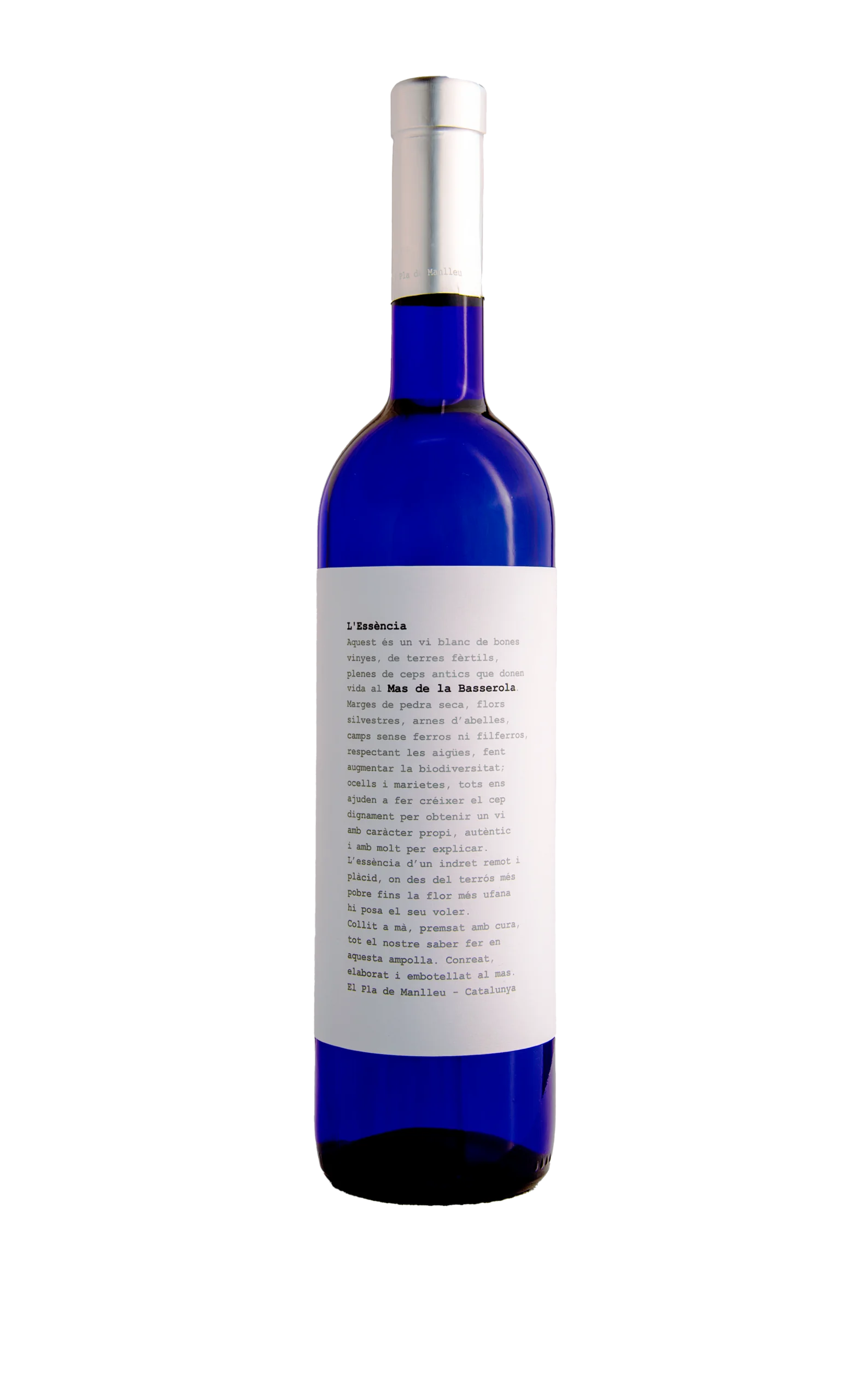vino02